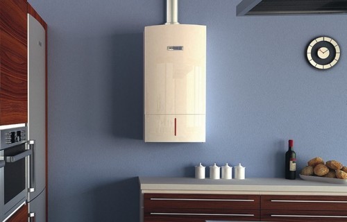 Газовые проточные нагреватели — газовые колонки — какую выбрать? | Все для ремонта квартиры или дома