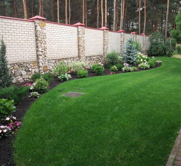 Посев газона газонной травой | Все для ремонта квартиры или дома